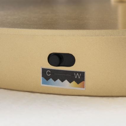 LED-dimmbare Stehleuchte KOLK LED/40W/230V 2700/4000K goldfarben