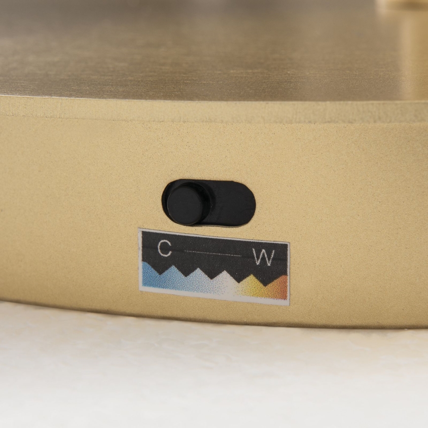 LED-dimmbare Stehleuchte KOLK LED/40W/230V 2700/4000K goldfarben