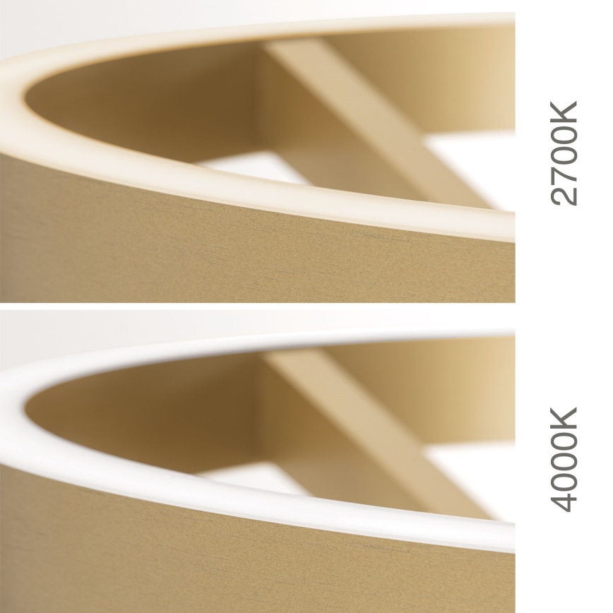 LED-dimmbare Stehleuchte KOLK LED/40W/230V 2700/4000K goldfarben