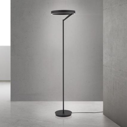 Dimmbare LED-Stehleuchte KOLK LED/40W/230V 2700/4000K schwarz