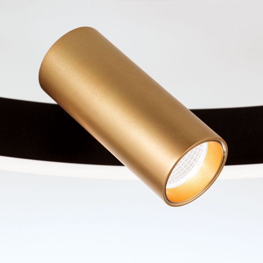 Dimmbare LED-Deckenleuchte BERLIN LED/50W/230V schwarz/gold