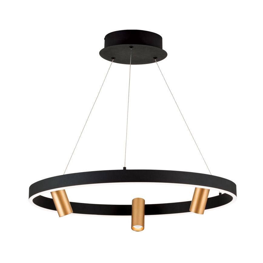 LED-dimmbare Pendelleuchte an Kabel BERLIN LED/50W/230V schwarz/gold