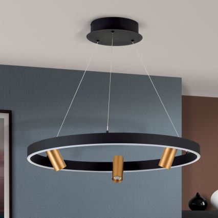 LED-dimmbare Pendelleuchte an Kabel BERLIN LED/50W/230V schwarz/gold