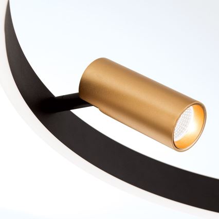LED-dimmbare Pendelleuchte an Kabel BERLIN LED/50W/230V schwarz/gold