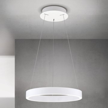 Orion - KOLK LED-dimmbare Pendelleuchte an Kabel, LED/40W/230V, 2700/3000/4000K, Ø 40 cm, weiß