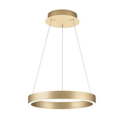 Dimmbare LED-Pendelleuchte an Kabel KOLK LED/40W/230V 2700/3000/4000K Ø 40 cm goldfarben