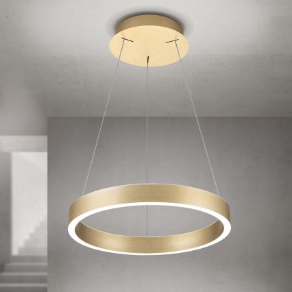 Dimmbare LED-Pendelleuchte an Kabel KOLK LED/40W/230V 2700/3000/4000K Ø 40 cm goldfarben