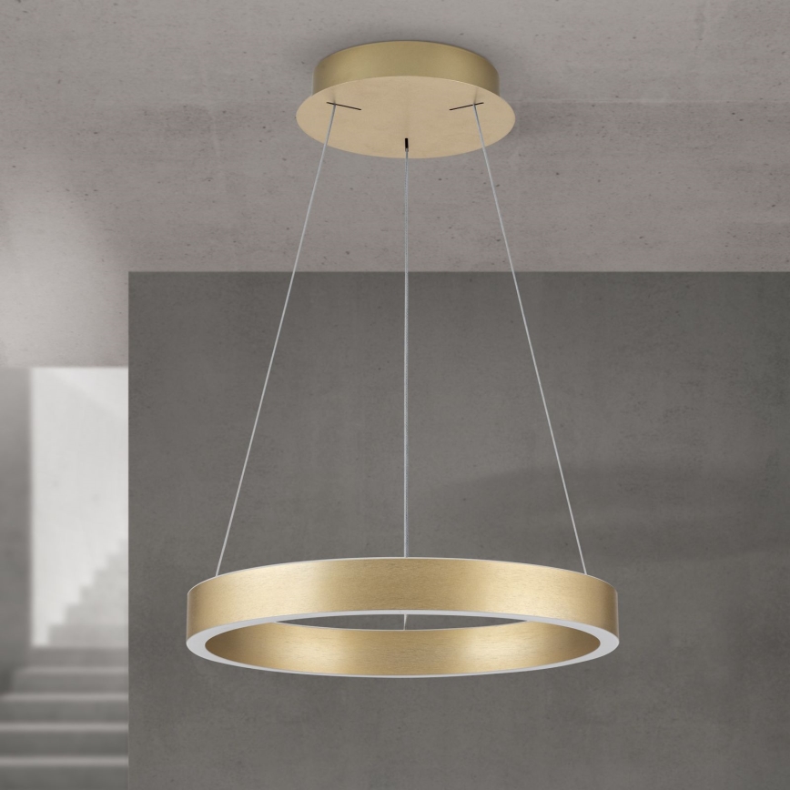 Dimmbare LED-Pendelleuchte an Kabel KOLK LED/40W/230V 2700/3000/4000K Ø 40 cm goldfarben