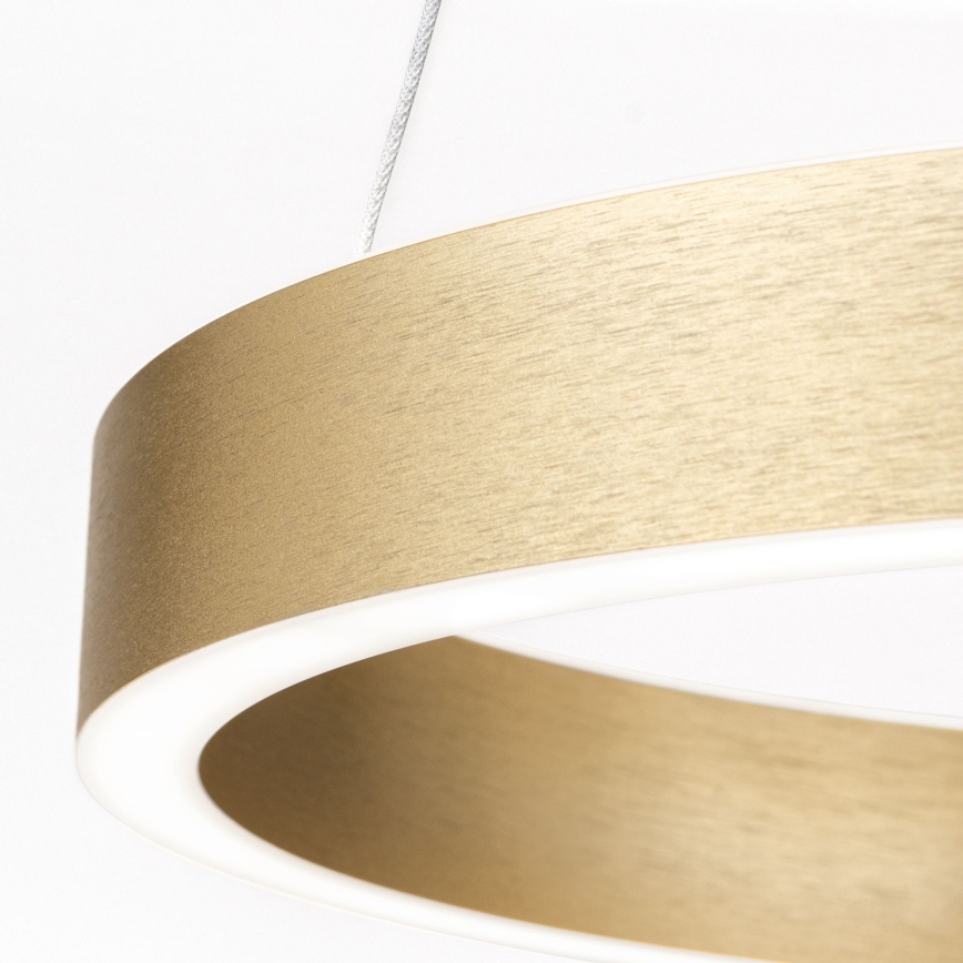 Dimmbare LED-Pendelleuchte an Kabel KOLK LED/40W/230V 2700/3000/4000K Ø 40 cm goldfarben