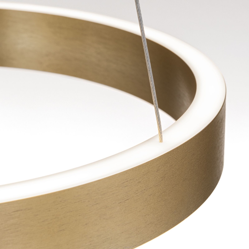 Dimmbare LED-Pendelleuchte an Kabel KOLK LED/40W/230V 2700/3000/4000K Ø 40 cm goldfarben