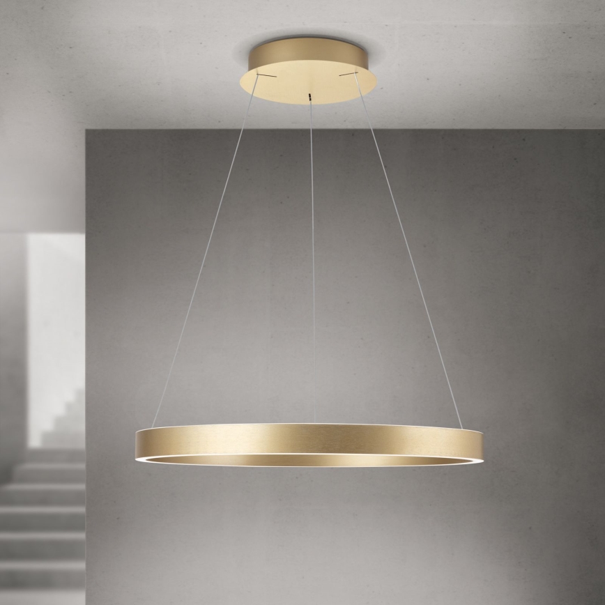 Dimmbare LED-Pendelleuchte an Seil KOLK LED/60W/230V 2700/3000/4000K Ø 60 cm gold