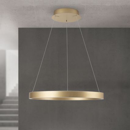 Dimmbare LED-Pendelleuchte an Seil KOLK LED/60W/230V 2700/3000/4000K Ø 60 cm gold