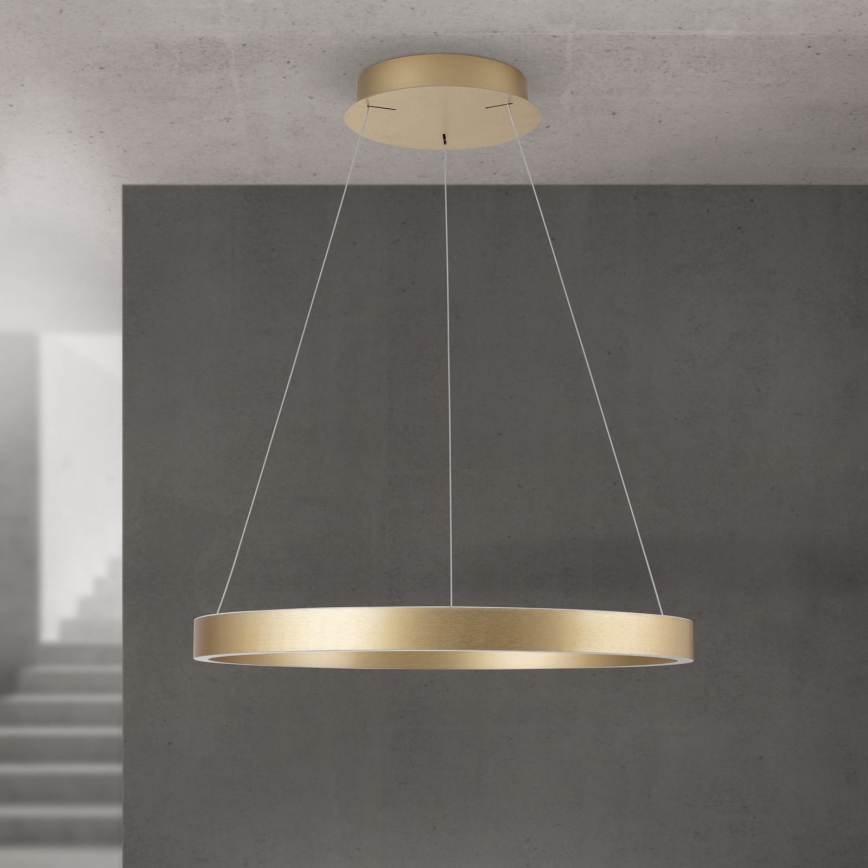 Dimmbare LED-Pendelleuchte an Seil KOLK LED/60W/230V 2700/3000/4000K Ø 60 cm gold