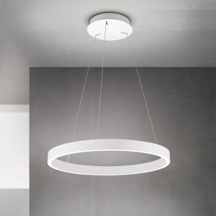 LED dimmbare Pendelleuchte mit Seilaufhängung KOLK LED/60W/230V 2700/3000/4000K Ø 60 cm weiß