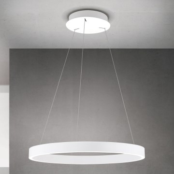 Orion - LED dimmbare Pendelleuchte mit Seilaufhängung KOLK LED/60W/230V 2700/3000/4000K Ø 60 cm weiß