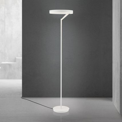 LED-dimmbare Stehleuchte KOLK LED/40W/230V 2700/4000K weiß