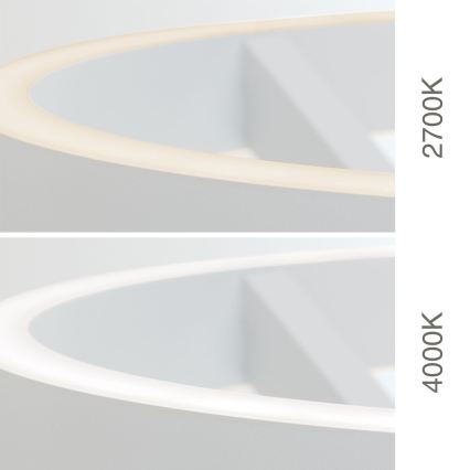 LED-dimmbare Stehleuchte KOLK LED/40W/230V 2700/4000K weiß