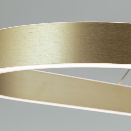 LED-Pendelleuchte mit Seilabhängung CARRARA LED/80W/230V 2700/3000/4000K goldfarben