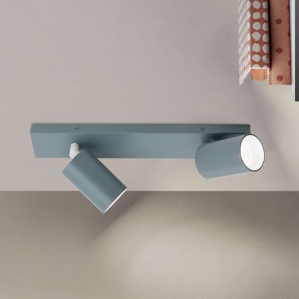 Spotleuchte PENN 2xGU10/13W/230V grau
