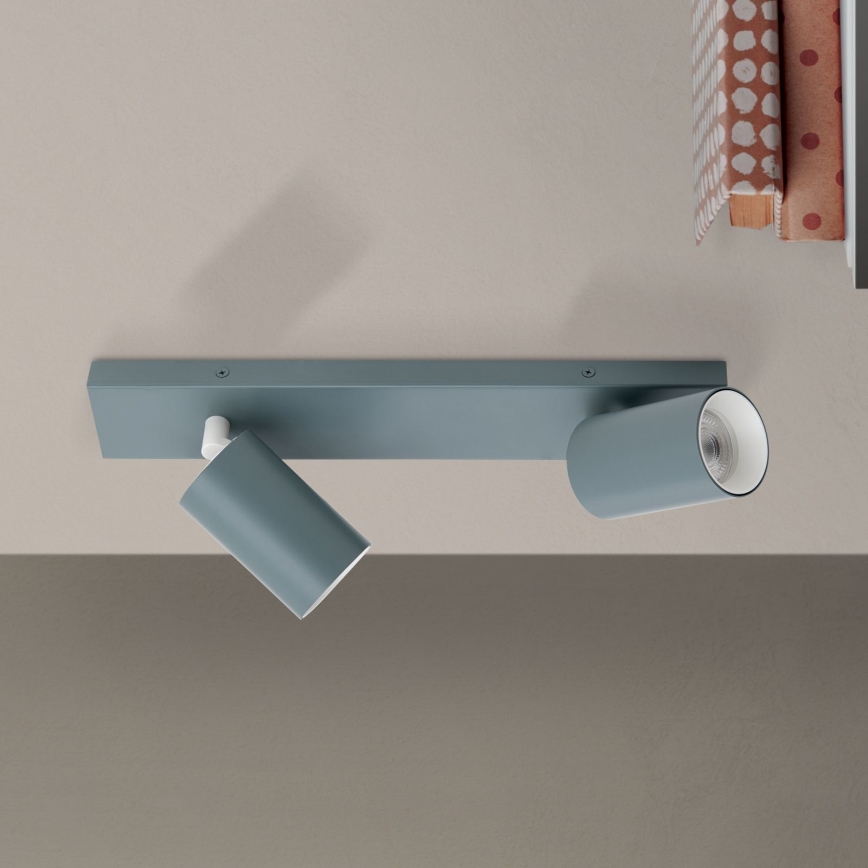 Spotleuchte PENN 2xGU10/13W/230V grau