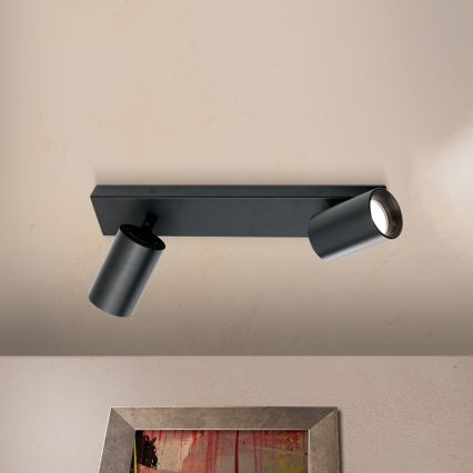 Spotleuchte SEAN 2xGU10/13W/230V schwarz