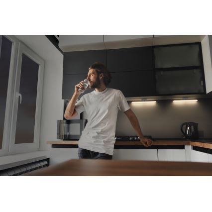 Osram - dimmbare LED-Unterbauleuchte mit Bewegungs- und Dämmerungssensor LINEAR LED/5W/3,7V 2200 mAh 3000K 35 cm weiß