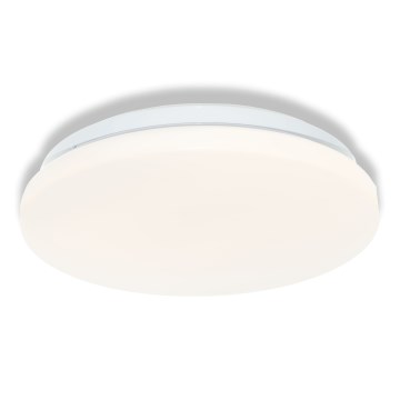 Osram - LED-Badezimmer-Deckenleuchte CEILING ROUND LED/12W/230V 6500K Ø 26 cm IP44 weiß