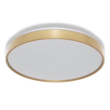 Osram - LED-Deckenleuchte CEILING LUXO LED/24W/230V Ø 38 cm, goldfarben
