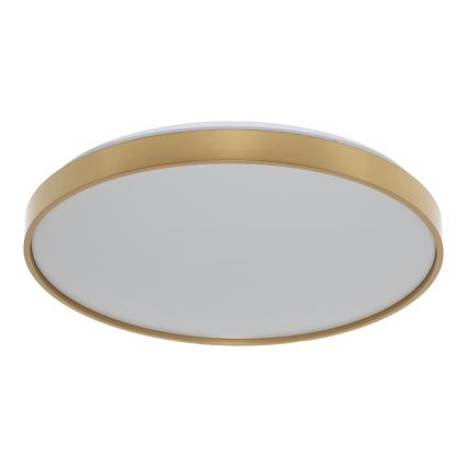 Osram - LED-Deckenleuchte CEILING LUXO LED/36W/230V Ø 49 cm Gold