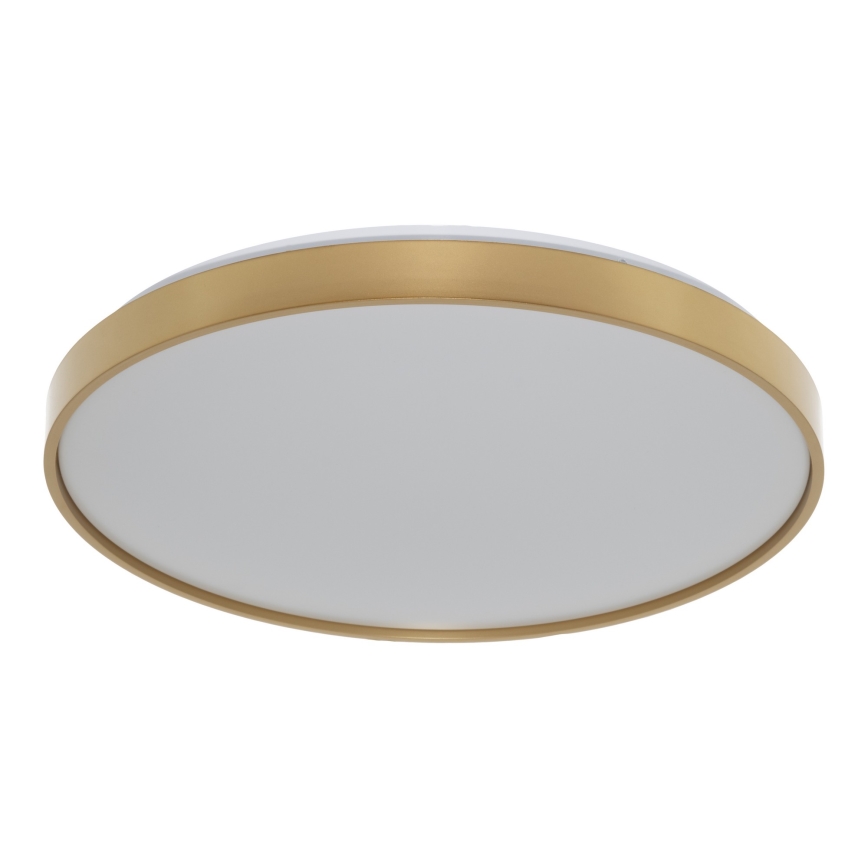 Osram - LED-Deckenleuchte CEILING LUXO LED/36W/230V Ø 49 cm Gold
