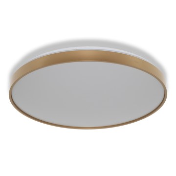 Osram - LED-Deckenleuchte CEILING LUXO LED/60W/230V Ø 56 cm goldfarben