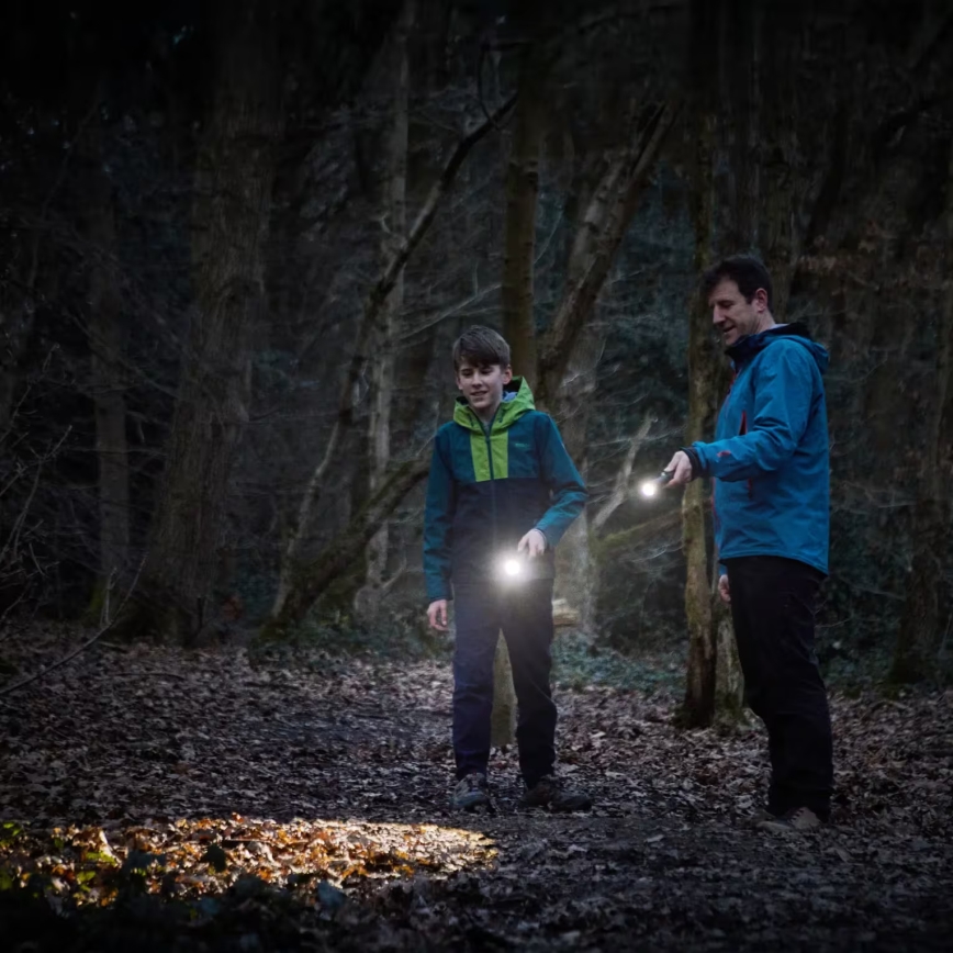 Osram - dimmbare LED-Taschenlampe LEDINSPECT TORCH 450 ESSENTIAL LED/6W/3xAAA IP44