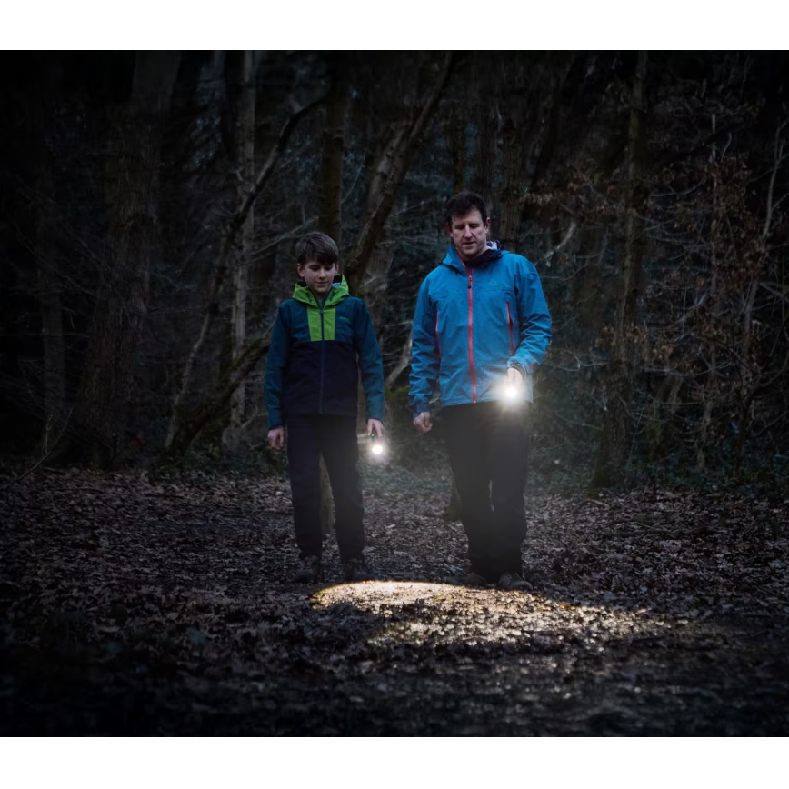 Osram - dimmbare LED-Taschenlampe LEDINSPECT TORCH 450 ESSENTIAL LED/6W/3xAAA IP44