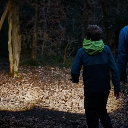 Osram - dimmbare LED-Taschenlampe LEDINSPECT TORCH 450 ESSENTIAL LED/6W/3xAAA IP44