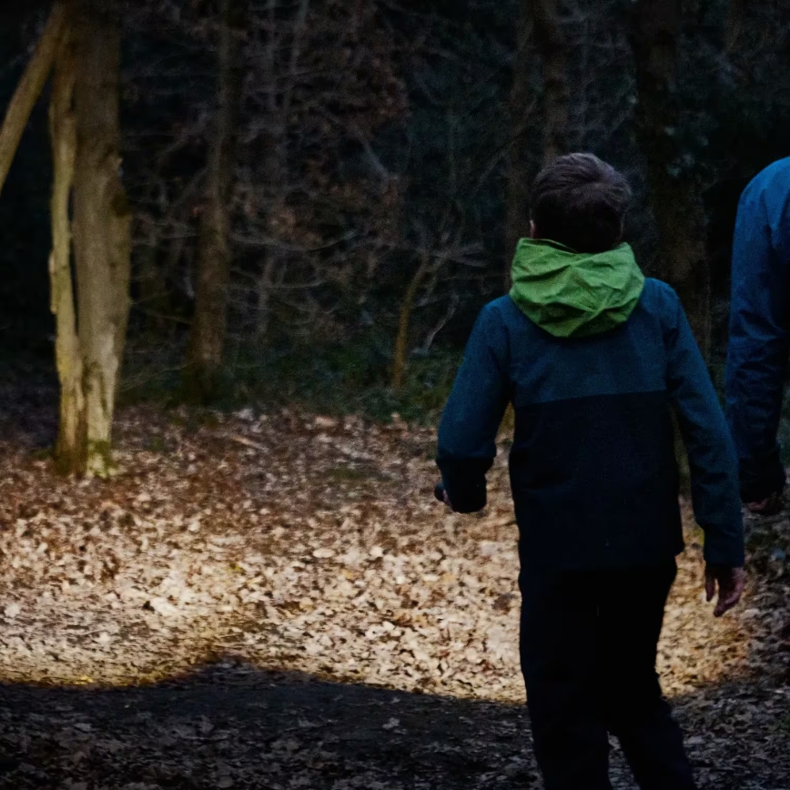 Osram - dimmbare LED-Taschenlampe LEDINSPECT TORCH 450 ESSENTIAL LED/6W/3xAAA IP44