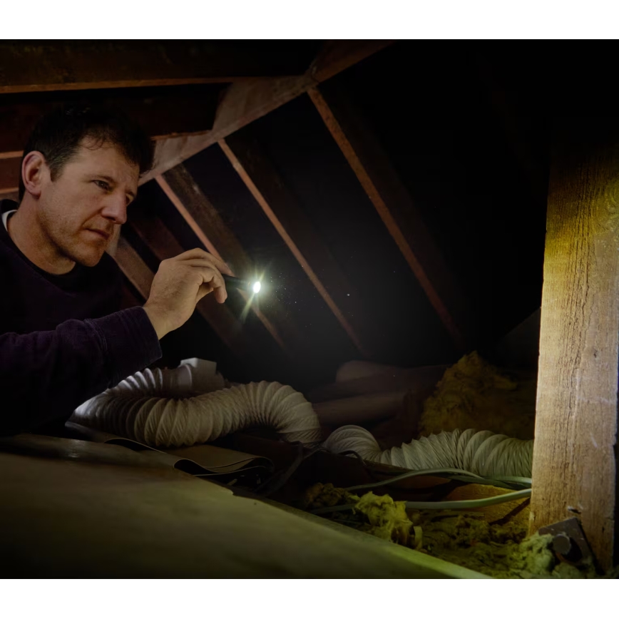 Osram - Dimmbare LED-Taschenlampe LEDINSPECT TORCH 250 ESSENTIAL LED/2W/2xAAA IP44