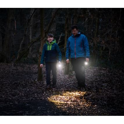 Osram - LED-dimmbare Taschenlampe LEDINSPECT TORCH 350 ESSENTIAL LED/4W/2xAAA IP44