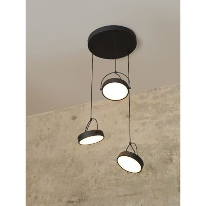 Osram - LED-Hängeleuchte mit Seilaufhängung DECOR PUCK 3xLED/12W/230V CRI 90 schwarz