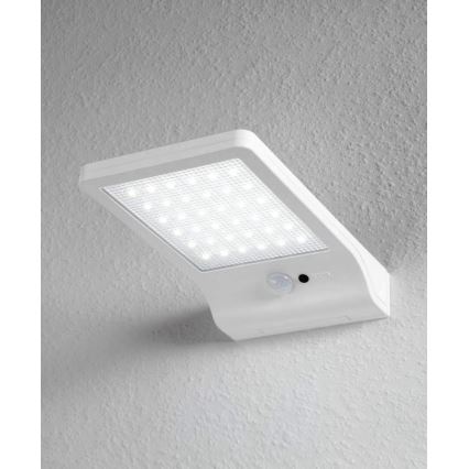 Osram - LED-Solarwandleuchte mit Sensor DOORLED 1xLED/3W IP44