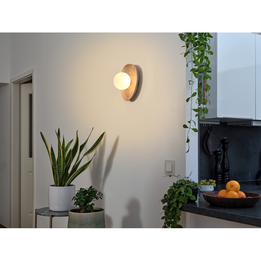 Osram - Wandleuchte WOOD NEST 1xG9/5W/230V Gummibaum