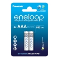Panasonic - 2 Stk. Akku AAA Eneloop 800 mAh