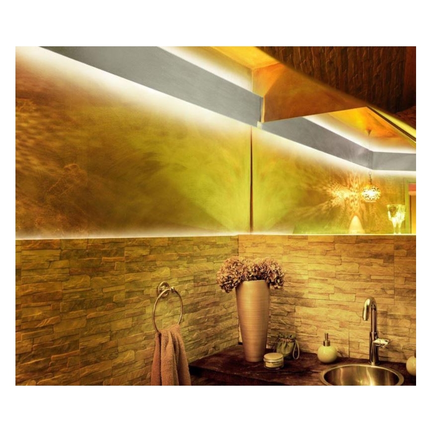 Paul Neuhaus 1205-70 - LED RGB Dimmbare Leiste TEANIA 10m LED/30W/12/230V + Fernbedienung