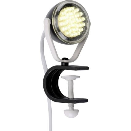 Paul Neuhaus 13073-18 - LED Lampe PODGY LED/2W/230V
