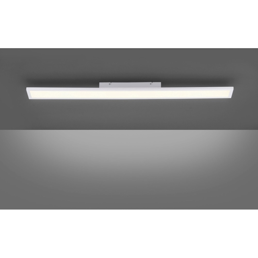 Paul Neuhaus 16537-16-O - LED Dimmbares Aufbaupaneel FLAT LED/21W/230V + Fernbedienung