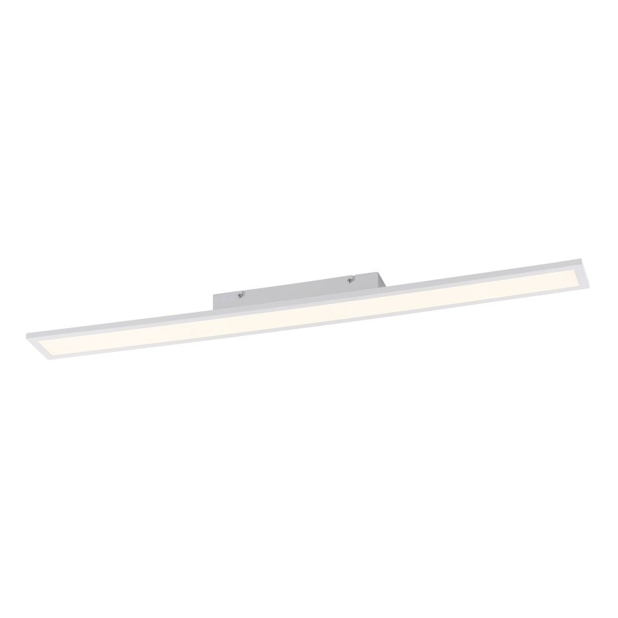 Paul Neuhaus 16537-16-O - LED Dimmbares Aufbaupaneel FLAT LED/21W/230V + Fernbedienung