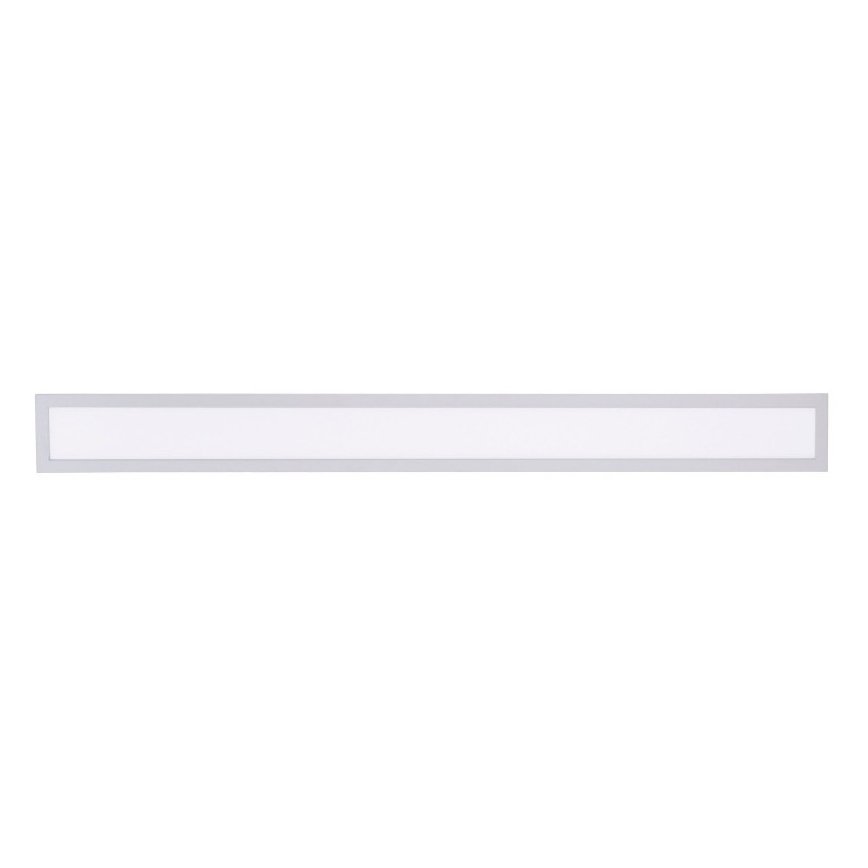 Paul Neuhaus 16537-16-O - LED Dimmbares Aufbaupaneel FLAT LED/21W/230V + Fernbedienung
