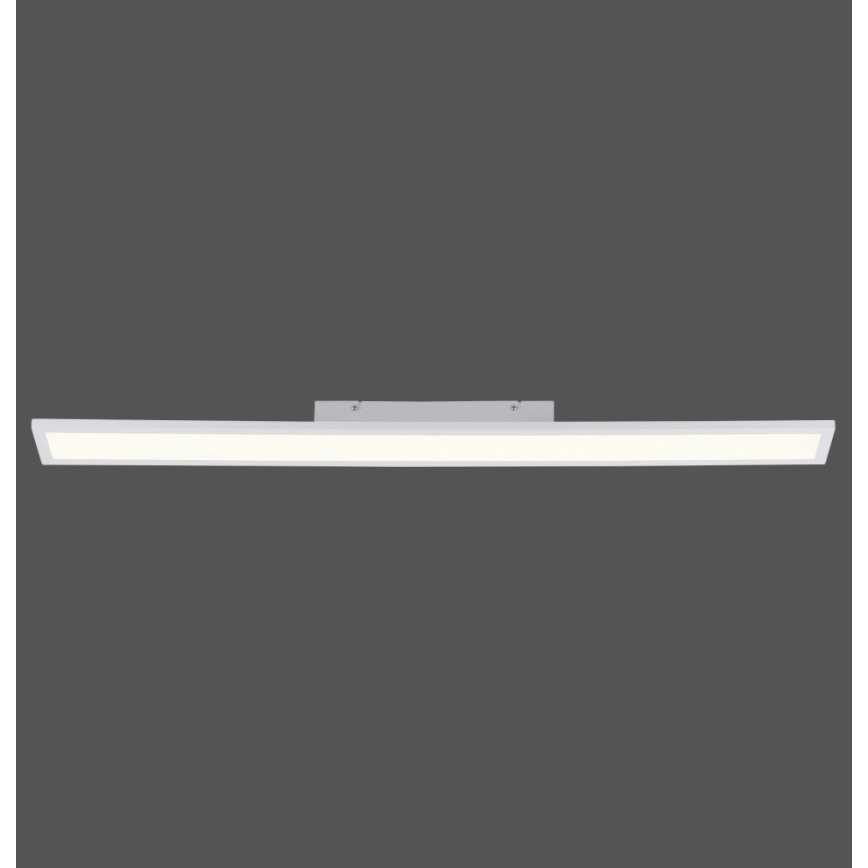 Paul Neuhaus 16537-16-O - LED Dimmbares Aufbaupaneel FLAT LED/21W/230V + Fernbedienung