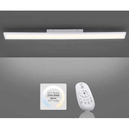 Paul Neuhaus 16537-16-O - LED Dimmbares Aufbaupaneel FLAT LED/21W/230V + Fernbedienung