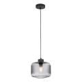 Paul Neuhaus 2005-25 - Hängeleuchte BOLETUS 1xE27/10W/230V d 23,5 cm grau