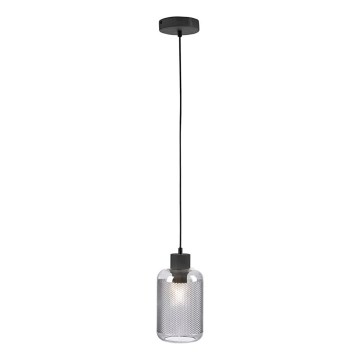 Paul Neuhaus 2006-25 - Hängeleuchte BOLETUS 1xE27/10W/230V d 14 cm grau